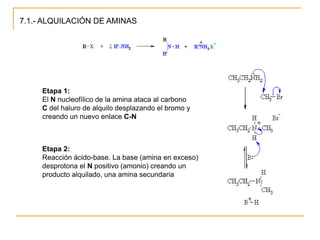 7.1.- ALQUILACIÓN DE AMINAS




     Etapa 1:
     El N nucleofílico de la amina ataca al carbono
     C del haluro de alquilo desplazando el bromo y
     creando un nuevo enlace C-N



     Etapa 2:
     Reacción ácido-base. La base (amina en exceso)
     desprotona el N positivo (amonio) creando un
     producto alquilado, una amina secundaria
 