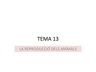 TEMA 13 LA REPRODUCCIÓ DELS ANIMALS 