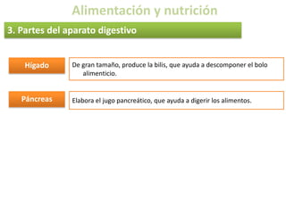 Alimentación y nutrición3. Partes del aparato digestivobocaEs la entrada del tubo digestivo. En ella se encuentran:	- los dientes: incisivos (cortar), caninos (desgarrar), premolares y molares( triturar)	- glándulas salivales: que producen saliva	-lengua: ayuda a formar el bolo alimenticiofaringeTransporta el alimento desde la boca al esófagoesófagoTubo de paredes musculosas que transporta el bolo hasta el estómagoestómagoEnsanchamiento del tubo digestivo. Las paredes del estómago mueven el bolo y lo mezclan con los jugos gástricos.I. delgadoTubo de siete metros de longitud. Se absorben las sustancias nutritivas de los alimentos, que pasan a la sangre.I. gruesoTubo de más de un metro que se comunica con el exterior por el ano, por donde se expulsan las sustancias no aprovechadas.
