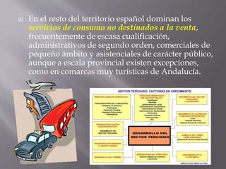  En el resto del territorio español dominan los
servicios de consumo no destinados a la venta,
frecuentemente de escasa cualificación,
administrativos de segundo orden, comerciales de
pequeño ámbito y asistenciales de carácter público,
aunque a escala provincial existen excepciones,
como en comarcas muy turísticas de Andalucía.
 