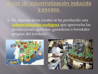 En algunas áreas rurales se ha producido una
industrialización endógena que aprovecha las
producciones agrícolas, ganaderas o forestales
propias del territorio
 
