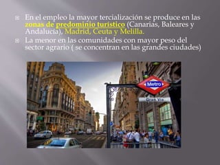  En el empleo la mayor tercialización se produce en las
zonas de predominio turístico (Canarias, Baleares y
Andalucía), Madrid, Ceuta y Melilla.
 La menor en las comunidades con mayor peso del
sector agrario ( se concentran en las grandes ciudades)
 
