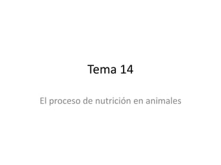 Tema 14
El proceso de nutrición en animales
 