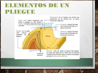 ELEMENTOS DE UN
PLIEGUE
 