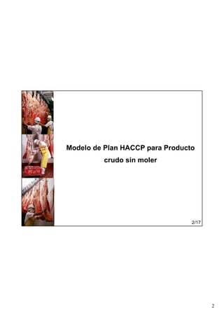 2
Modelo de Plan HACCP para Producto
crudo sin moler
2/17
 