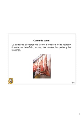5
Carne de canal
La canal es el cuerpo de la res al cual se le ha retirado,
durante su beneficio, la piel, las manos, las patas y las
vísceras.
5/17
 