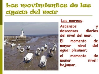 Los movimientos de las 
aguas del mar 
Las mareas: 
Ascensos y 
descensos diarios 
del nivel del mar. 
El momento de 
mayor nivel del 
agua: pleamar; 
el momento de 
menor nivel: 
bajamar. 
 