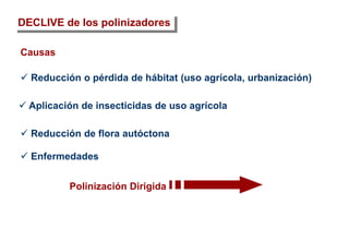 DECLIVE de los polinizadores
 Reducción de flora autóctona
 Reducción o pérdida de hábitat (uso agrícola, urbanización)
 Aplicación de insecticidas de uso agrícola
Causas
 Enfermedades
Polinización Dirigida
 