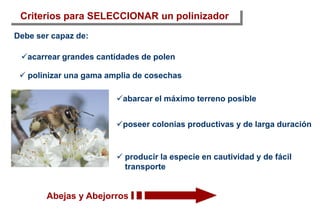 Criterios para SELECCIONAR un polinizador
 producir la especie en cautividad y de fácil
transporte
 polinizar una gama amplia de cosechas
poseer colonias productivas y de larga duración
acarrear grandes cantidades de polen
abarcar el máximo terreno posible
Abejas y Abejorros
Debe ser capaz de:
 