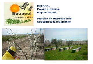 BEEPOOL
Premio a Jóvenes
emprenderores
creación de empresas en la
sociedad de la imaginación
 