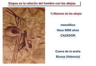 mesolítico
Hace 9000 años
CAZADOR
Cueva de la araña
Bicorp (Valencia)
Etapas en la relación del hombre con las abejas
1) Matanza de las abejas
 