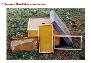 Colmenas Movilistas = modernas
 