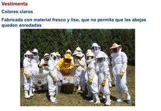 Vestimenta
Colores claros
Fabricada con material fresco y liso, que no permita que las abejas
queden enredadas
 