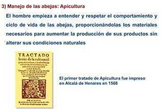 El hombre empieza a entender y respetar el comportamiento y
ciclo de vida de las abejas, proporcionándolas los materiales
necesarios para aumentar la producción de sus productos sin
alterar sus condiciones naturales
3) Manejo de las abejas: Apicultura
El primer tratado de Apicultura fue impreso
en Alcalá de Henares en 1568
 
