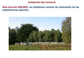 Instalación del colmenar
Real Decreto 209/2002: se establecen normas de ordenación de las
explotaciones apícolas.
 