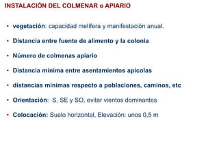 INSTALACIÓN DEL COLMENAR o APIARIO
• vegetación: capacidad melífera y manifestación anual.
• Distancia entre fuente de alimento y la colonia
• Número de colmenas apiario
• Distancia mínima entre asentamientos apícolas
• distancias mínimas respecto a poblaciones, caminos, etc
• Orientación: S, SE y SO, evitar vientos dominantes
• Colocación: Suelo horizontal, Elevación: unos 0,5 m
 