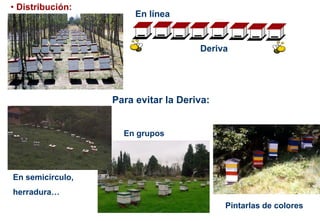 • Distribución:
En línea
Deriva
En semicírculo,
herradura…
En grupos
Pintarlas de colores
Para evitar la Deriva:
 