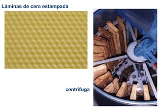 Láminas de cera estampada
centrífuga
 