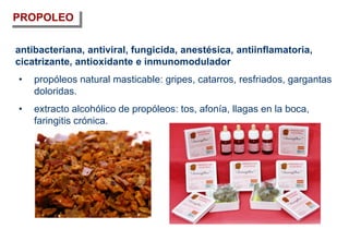 antibacteriana, antiviral, fungicida, anestésica, antiinflamatoria,
cicatrizante, antioxidante e inmunomodulador
• propóleos natural masticable: gripes, catarros, resfriados, gargantas
doloridas.
• extracto alcohólico de propóleos: tos, afonía, llagas en la boca,
faringitis crónica.
PROPOLEO
 