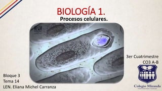 BIOLOGÍA 1.
Procesos celulares.
Bloque 3
Tema 14
LEN. Eliana Michel Carranza
3er Cuatrimestre
CO3 A-B
 