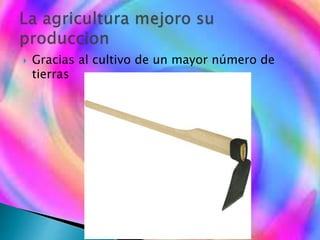  Gracias al cultivo de un mayor número de
tierras
 