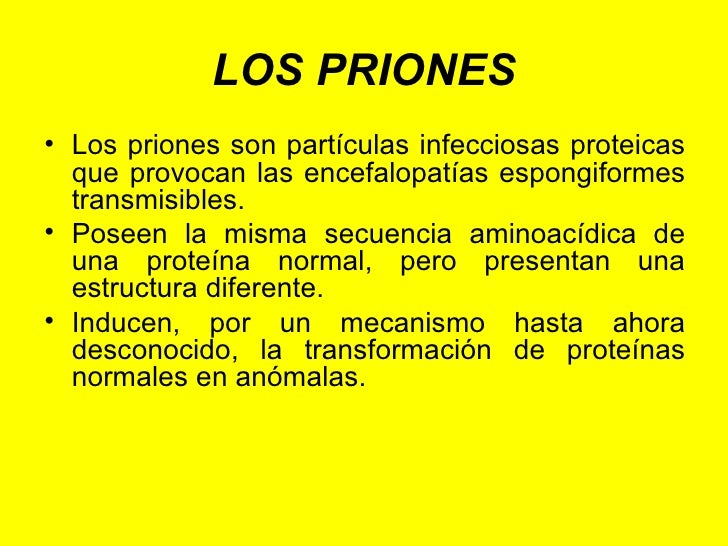 Las manchas blancas en la piel el hongo como curar