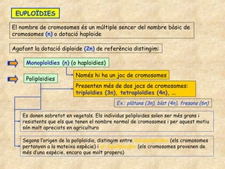 EUPLOÏDIES

El nombre de cromosomes és un múltiple sencer del nombre bàsic de
cromosomes (n) o dotació haploide

Agafant la dotació diploide (2n) de referència distingim:

     Monoploïdies (n) (o haploïdies)

                           Només hi ha un joc de cromosomes
     Poliploïdies
                           Presenten més de dos jocs de cromosomes:
                           triploïdies (3n), tetraploïdies (4n), ...
                                             Ex.: plàtans (3n), blat (4n), fresons (6n)

    Es donen sobretot en vegetals. Els individus poliploides solen ser més grans i
    resistents que els que tenen el nombre normal de cromosomes i per aquest motiu
    són molt apreciats en agricultura

    Segons l’origen de la poliploïdia, distingim entre autopoliploides (els cromosomes
    pertanyen a la mateixa espècie) i al·lopoliploides (els cromosomes provenen de
    més d’una espècie, encara que molt propera)
 