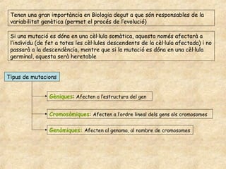 Tenen una gran importància en Biologia degut a que són responsables de la
 variabilitat genètica (permet el procés de l’evolució)

 Si una mutació es dóna en una cèl·lula somàtica, aquesta només afectarà a
 l’individu (de fet a totes les cèl·lules descendents de la cèl·lula afectada) i no
 passarà a la descendència, mentre que si la mutació es dóna en una cèl·lula
 germinal, aquesta serà heretable


Tipus de mutacions


                Gèniques: Afecten a l’estructura del gen


                Cromosòmiques: Afecten a l’ordre lineal dels gens als cromosomes

                Genòmiques: Afecten al genoma, al nombre de cromosomes
 