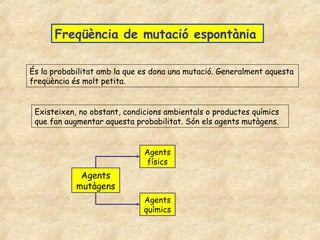 Freqüència de mutació espontània

És la probabilitat amb la que es dona una mutació. Generalment aquesta
freqüència és molt petita.


 Existeixen, no obstant, condicions ambientals o productes químics
 que fan augmentar aquesta probabilitat. Són els agents mutàgens.


                              Agents
                               físics
             Agents
            mutàgens
                              Agents
                              químics
 