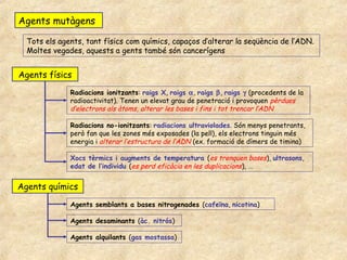 Agents mutàgens

  Tots els agents, tant físics com químics, capaços d’alterar la seqüència de l’ADN.
  Moltes vegades, aquests a gents també són cancerígens


Agents físics
              Radiacions ionitzants: raigs X, raigs α, raigs β, raigs γ (procedents de la
              radioactivitat). Tenen un elevat grau de penetració i provoquen pèrdues
              d’electrons als àtoms, alterar les bases i fins i tot trencar l’ADN

              Radiacions no-ionitzants: radiacions ultraviolades. Són menys penetrants,
              però fan que les zones més exposades (la pell), els electrons tinguin més
              energia i alterar l’estructura de l’ADN (ex. formació de dímers de timina)

              Xocs tèrmics i augments de temperatura (es trenquen bases), ultrasons,
              edat de l’individu (es perd eficàcia en les duplicacions), ...


Agents químics
              Agents semblants a bases nitrogenades (cafeïna, nicotina)

              Agents desaminants (àc. nitrós)

              Agents alquilants (gas mostassa)
 