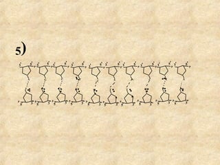 5)
3'               5'       3'           5' 3'           5'       3'           5'                    5' 3'            5' 3'           5'                     5' 3'              5' 3'                 5'
                      P                  P                  P                     P   3'             P               P                   P    3'             P                  P                        P



             A                     G               C                     T                                     A                A                      C                  T                     A
                                                                                               C

         T                     C               G                     A                                                                                                A                     T
                                                                                           G               T                T                      G




                                                       3' P 5'                                                                                                                3'                    3'
                                                                                                                                         P                   P                     P
                 3' P 5'               3' 5'                                 3'
                                         P
                                                                                                                                                                 5'                    5'
P                                                                                 P                                  P
                                                                                                                                             5'
                                                                                                    P
    5'                                                                                5'       3' 5'               3' 5'        3'                     3'
 