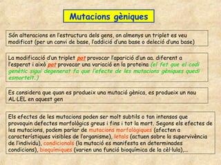 Mutacions gèniques

Són alteracions en l’estructura dels gens, on almenys un triplet es veu
modificat (per un canvi de base, l’addició d’una base o deleció d’una base)

La modificació d’un triplet pot provocar l’aparició d’un aa. diferent a
l’esperat i això pot provocar una variació en la proteïna (el fet que el codi
genètic sigui degenerat fa que l’efecte de les mutacions gèniques quedi
esmorteït.)

Es considera que quan es produeix una mutació gènica, es produeix un nou
AL·LEL en aquest gen


Els efectes de les mutacions poden ser molt subtils o tan intensos que
provoquin defectes morfològics greus i fins i tot la mort. Segons els efectes de
les mutacions, podem parlar de mutacions morfològiques (afecten a
característiques visibles de l’organisme), letals (actuen sobre la supervivència
de l’individu), condicionals (la mutació es manifesta en determinades
condicions), bioquímiques (varien una funció bioquímica de la cèl·lula),...
 