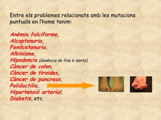 Entre els problemes relacionats amb les mutacions
puntuals en l’home tenim:

Anèmia falciforme,
Alcaptonuria,
Fenilcetonuria,
Albinisme,
Hipodoncia (absència de fins 6 dents),
Càncer de colon,
Càncer de tiroides,
Càncer de pancreas,
Polidactilia,
Hipertensió arterial,
Diabetis, etc.
 