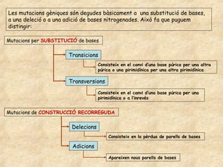 Les mutacions gèniques són degudes bàsicament a una substitució de bases,
a una deleció o a una adició de bases nitrogenades. Això fa que puguem
distingir:

Mutacions per SUBSTITUCIÓ de bases

                      Transicions
                                    Consisteix en el canvi d’una base púrica per una altra
                                    púrica o una pirimidínica per una altra pirimidínica

                      Transversions
                                    Consisteix en el canvi d’una base púrica per una
                                    pirimidínica o a l’inrevés


Mutacions de CONSTRUCCIÓ RECORREGUDA

                        Delecions
                                         Consisteix en la pèrdua de parells de bases

                        Adicions
                                         Apareixen nous parells de bases
 