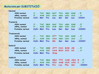 Mutacions per SUBSTITUCIÓ
   Normal
        ADN normal         3'... TAC   GGA   GAT   TCA   AGA   GAG   ...5'
        ARNm normal        5'... AUG   CCU   CUA   AGU   UCU   CUC   ...3'
        Proteïna normal    H2 N- Met   Pro   Leu   Ser   Ser   Leu   -COOH

   Transició
         ADN normal        3'... TAC   GGA   GAC   TCA   AGA   GAG   ...5'
         ARNm normal       5'... AUG   CCU   CUG   AGU   UCU   CUC   ...3'
         Proteïna normal   H2 N- Met   Pro   Leu   Ser   Ser   Leu   -COOH

   Transversió
        ADN normal         3'... TAC   GGA   GTT   TCA   AGA   GAG   ...5'
        ARNm normal        5'... AUG   CCU   CAA   AGU   UCU   CUC   ...3'
        Proteïna normal    H2 N- Met   Pro   Gln   Ser   Ser   Leu   -COOH

   Deleció
         ADN normal        3'... TAC   GGG   ATT CAA GAG       AG    ...5'
         ARNm normal       5'... AUG   CCC   UAA GUU CUC       UC    ...3'
        Proteïna normal    H2 N- Met   Pro   Stop

   Addició
         ADN normal        3'... TAC   GGA   GGA   TTC AAG AGA G ...5'
         ARNm normal       5'... AUG   CCU   CCU   AAG UUC UCU C ...3'
         Proteïna normal   H2 N- Met   Pro   Pro   Lys Phe Ser   -COOH
 