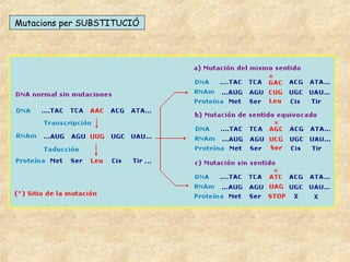 Mutacions per SUBSTITUCIÓ
 