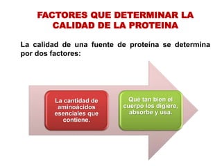FACTORES QUE DETERMINAR LA
CALIDAD DE LA PROTEINA
La calidad de una fuente de proteína se determina
por dos factores:
La cantidad de
aminoácidos
esenciales que
contiene.
Qué tan bien el
cuerpo los digiere,
absorbe y usa.
 