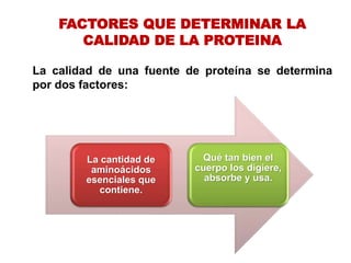 FACTORES QUE DETERMINAR LA
CALIDAD DE LA PROTEINA
La calidad de una fuente de proteína se determina
por dos factores:
La c...