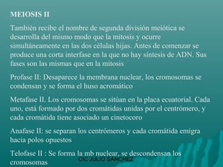 MEIOSIS II
También recibe el nombre de segunda división meiótica se
desarrolla del mismo modo que la mitosis y ocurre
simultáneamente en las dos células hijas. Antes de comenzar se
produce una corta interfase en la que no hay síntesis de ADN. Sus
fases son las mismas que en la mitosis
Profase II: Desaparece la membrana nuclear, los cromosomas se
condensan y se forma el huso acromático
Metafase II. Los cromosomas se sitúan en la placa ecuatorial. Cada
uno, está formado por dos cromátidas unidas por el centrómero, y
cada cromátida tiene asociado un cinetocoro
Anafase II: se separan los centrómeros y cada cromátida emigra
hacia polos opuestos
Telofase II : Se forma la mb nuclear, se descondensan los
                        CIC JULIO SÁNCHEZ
cromosomas
 