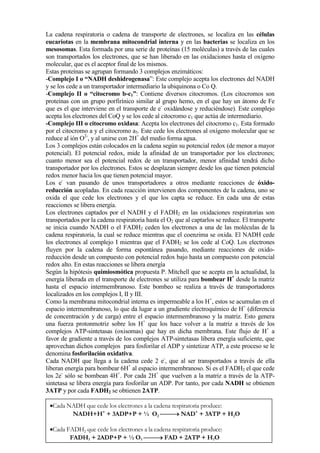 La cadena respiratoria o cadena de transporte de electrones, se localiza en las células
eucariotas en la membrana mitocondrial interna y en las bacterias se localiza en los
mesosomas. Esta formada por una serie de proteínas (15 moléculas) a través de las cuales
son transportados los electrones, que se han liberado en las oxidaciones hasta el oxígeno
molecular, que es el aceptor final de los mismos.
Estas proteínas se agrupan formando 3 complejos enzimáticos:
-Complejo I o “ ADH deshidrogenasa”: Este complejo acepta los electrones del NADH
y se los cede a un transportador intermediario la ubiquinona o Co Q.
-Complejo II o “citocromo b-c1”: Contiene diversos citocromos. (Los citocromos son
proteínas con un grupo porfirínico similar al grupo hemo, en el que hay un átomo de Fe
que es el que interviene en el transporte de e- oxidándose y reduciéndose). Este complejo
acepta los electrones del CoQ y se los cede al citocromo c1 que actúa de intermediario.
-Complejo III o citocromo oxidasa: Acepta los electrones del citocromo c1. Esta formado
por el citocromo a y el citocromo a3. Este cede los electrones al oxígeno molecular que se
reduce al ión O2-, y al unirse con 2H+ del medio forma agua.
Los 3 complejos están colocados en la cadena según su potencial redox (de menor a mayor
potencial). El potencial redox, mide la afinidad de un transportador por los electrones;
cuanto menor sea el potencial redox de un transportador, menor afinidad tendrá dicho
transportador por los electrones. Estos se desplazan siempre desde los que tienen potencial
redox menor hacia los que tienen potencial mayor.
Los e- van pasando de unos transportadores a otros mediante reacciones de óxidoreducción acopladas. En cada reacción intervienen dos componentes de la cadena, uno se
oxida el que cede los electrones y el que los capta se reduce. En cada una de estas
reacciones se libera energía.
Los electrones captados por el NADH y el FADH2 en las oxidaciones respiratorias son
transportados por la cadena respiratoria hasta el O2 que al captarlos se reduce. El transporte
se inicia cuando NADH o el FADH2 ceden los electrones a una de las moléculas de la
cadena respiratoria, la cual se reduce mientras que el coenzima se oxida. El NADH cede
los electrones al complejo I mientras que el FADH2 se los cede al CoQ. Los electrones
fluyen por la cadena de forma espontánea pasando, mediante reacciones de oxidoreducción desde un compuesto con potencial redox bajo hasta un compuesto con potencial
redox alto. En estas reacciones se libera energía
Según la hipótesis quimiosmótica propuesta P. Mitchell que se acepta en la actualidad, la
energía liberada en el transporte de electrones se utiliza para bombear H+ desde la matriz
hasta el espacio intermembranoso. Este bombeo se realiza a través de transportadores
localizados en los complejos I, II y III.
Como la membrana mitocondrial interna es impermeable a los H+, estos se acumulan en el
espacio intermembranoso, lo que da lugar a un gradiente electroquímico de H+ (diferencia
de concentración y de carga) entre el espacio intermembranoso y la matriz. Esto genera
una fuerza protonmotriz sobre los H+ que los hace volver a la matriz a través de los
complejos ATP-sintetasas (oxisomas) que hay en dicha membrana. Este flujo de H+ a
favor de gradiente a través de los complejos ATP-sintetasas libera energía suficiente, que
aprovechan dichos complejos para fosforilar el ADP y sintetizar ATP, a este proceso se le
denomina fosforilación oxidativa.
Cada NADH que llega a la cadena cede 2 e-, que al ser transportados a través de ella
liberan energía para bombear 6H+ al espacio intermembranoso. Si es el FADH2 el que cede
los 2e- sólo se bombean 4H+. Por cada 2H+ que vuelven a la matriz a través de la ATPsintetasa se libera energía para fosforilar un ADP. Por tanto, por cada ADH se obtienen
3ATP y por cada FADH2 se obtienen 2ATP.
•Cada NADH que cede los electrones a la cadena respiratoria produce:
NADH+H+ + 3ADP+P + ½ O2 → NAD+ + 3ATP + H2O
•Cada FADH2 que cede los electrones a la cadena respiratoria produce:
FADH2 + 2ADP+P + ½ O2 → FAD + 2ATP + H2O

 