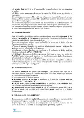 •El aceptor final de los e- y H+ desprendidos no es el oxígeno sino un compuesto
orgánico.
•Se libera mucha menos energía que en la respiración, debido a que la oxidación es
incompleta.
Los microorganismos anaerobios estrictos, utilizan esta vía metabólica como la única
forma de obtener energía. Los anaerobios facultativos, la utilizan durante períodos en los
que no disponen de oxígeno.
Los compuestos orgánicos que se utilizan más frecuentemente en las fermentaciones son
los azúcares, aunque algunas bacterias utilizan otros como: ác.grasos, aminoácidos etc.
Las fermentaciones reciben distintos nombres, según el compuesto orgánico que se obtiene
al final. Las más importantes son: la láctica y la alcohólica.
3.1. Fermentación láctica
Esta fermentación la realizan muchos microorganismos, entre ellos bacterias de los
géneros Lactobacillus y Estreptococcus, que son los responsables de la obtención de
muchos derivados lácteos: yogur, queso, kefir etc.
Estos microorganismos utilizan como combustible la lactosa de la leche, a la que
fermentan para obtener energía.
•Primero, la lactosa se hidroliza por acción de la lactasa dando glucosa y galactosa. La
galactosa a su vez se isomeriza dando glucosa.
•La glucosa mediante glucólisis, se transforma en 2 moléculas de ácido pirúvico,
liberándose además 2 ATP y 2 ADH + H+.
•El ácido pirúvico, que es el último aceptor de electrones, se reduce por acción del
ADH+H+ que se obtuvo en la glucólisis y se transforma en ácido láctico. Esta reacción
esta catalizada por la lactato- deshidrogenasa
Esta fermentación también la realizan las células musculares esqueléticas cuando no
reciben suficiente oxígeno. El ácido láctico forma pequeños cristales que se acumulan en
los músculos, dando lugar a las agujetas.
3.2. Fermentación alcohólica
La realizan levaduras del género Saccharomyces. Este proceso tiene lugar en la
fabricación del vino, cerveza etc, También ocurre en la fabricación del pan, aquí el alcohol
se evapora en el horno y el CO2 escapa.
El proceso ocurre de la siguiente manera:
•La glucosa, mediante la glucólisis se transforma en 2 moléculas de ácido pirúvico,
liberándose 2 ATP y 2 ADH+ H+.
•El ácido pirúvico sufre una decarboxilación y se transforma en acetaldehído. Esta
reacción esta catalizada por la enzima piruvato decarboxilasa.
•El acetaldehído, que es el último aceptor de e- y H+, se reduce por acción del ADH+
H+ que se obtuvo en la glucólisis y se transforma en etanol. La enzima es la alcoholdeshidrogenasa.
4. CATABOLISMO DE LOS LIPIDOS
Tomamos como modelo los triglicéridos, que son la principal reserva energética de las
células animales, que se acumulan en su mayor parte en el tejido adiposo.
El primer paso en el catabolismo de los triglicéridos es la hidrólisis, mediante ella por
acción de las lipasas se desdobla en sus componentes: glicerina y ác.grasos.

 