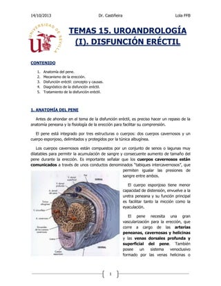 14/10/2013

Dr. Castiñeira

Lola FFB

TEMAS 15. UROANDROLOGÍA
(I). DISFUNCIÓN ERÉCTIL
CONTENIDO
1.
2.
3.
4.
5.

Anatomía del pene.
Mecanismo de la erección.
Disfunción eréctil: concepto y causas.
Diagnóstico de la disfunción eréctil.
Tratamiento de la disfunción eréctil.

1. ANATOMÍA DEL PENE
Antes de ahondar en el tema de la disfunción eréctil, es preciso hacer un repaso de la
anatomía peneana y la fisiología de la erección para facilitar su comprensión.
El pene está integrado por tres estructuras o cuerpos: dos cuerpos cavernosos y un
cuerpo esponjoso, delimitados y protegidos por la túnica albugínea.
Los cuerpos cavernosos están compuestos por un conjunto de senos o lagunas muy
dilatables para permitir la acumulación de sangre y consecuente aumento de tamaño del
pene durante la erección. Es importante señalar que los cuerpos cavernosos están
comunicados a través de unos conductos denominados “tabiques intercavernosos”, que
permiten igualar las presiones de
sangre entre ambos.
El cuerpo esponjoso tiene menor
capacidad de distensión, envuelve a la
uretra peneana y su función principal
es facilitar tanto la micción como la
eyaculación.
El pene necesita una gran
vascularización para la erección, que
corre a cargo de las arterias
peneanas, cavernosas y helicinas
y las venas dorsales profunda y
superficial del pene. También
posee
un
sistema
venoclusivo
formado por las venas helicinas o

1

 