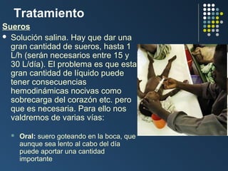Tratamiento
Sueros
 Solución salina. Hay que dar una
gran cantidad de sueros, hasta 1
L/h (serán necesarios entre 15 y
30 L/día). El problema es que esta
gran cantidad de líquido puede
tener consecuencias
hemodinámicas nocivas como
sobrecarga del corazón etc. pero
que es necesaria. Para ello nos
valdremos de varias vías:


Oral: suero goteando en la boca, que
aunque sea lento al cabo del día
puede aportar una cantidad
importante

 
