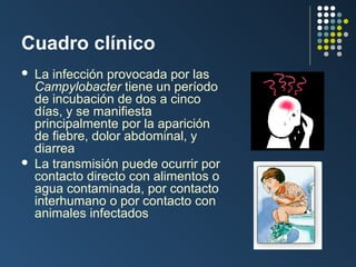 Cuadro clínico




La infección provocada por las
Campylobacter tiene un período
de incubación de dos a cinco
días, y se manifiesta
principalmente por la aparición
de fiebre, dolor abdominal, y
diarrea
La transmisión puede ocurrir por
contacto directo con alimentos o
agua contaminada, por contacto
interhumano o por contacto con
animales infectados

 