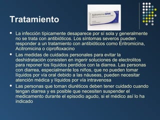 Tratamiento






La infección típicamente desaparece por sí sola y generalmente
no se trata con antibióticos. Los síntomas severos pueden
responder a un tratamiento con antibióticos como Eritromicina,
Acitromicina o ciprofloxacino
Las medidas de cuidados personales para evitar la
deshidratación consisten en ingerir soluciones de electrolitos
para reponer los líquidos perdidos con la diarrea. Las personas
con diarrea, especialmente los niños, que no pueden tomar
líquidos por vía oral debido a las náuseas, pueden necesitar
atención médica y líquidos por vía intravenosa
Las personas que toman diuréticos deben tener cuidado cuando
tengan diarrea y es posible que necesiten suspender el
medicamento durante el episodio agudo, si el médico así lo ha
indicado

 