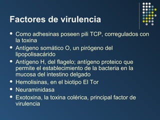 Factores de virulencia








Como adhesinas poseen pili TCP, corregulados con
la toxina
Antígeno somático O, un pirógeno del
lipopolisacárido
Antígeno H, del flagelo; antígeno proteico que
permite el establecimiento de la bacteria en la
mucosa del intestino delgado
Hemolisinas, en el biotipo El Tor
Neuraminidasa
Exotoxina, la toxina colérica, principal factor de
virulencia

 