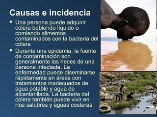Causas e incidencia




Una persona puede adquirir
cólera bebiendo líquido o
comiendo alimentos
contaminados con la bacteria del
cólera
Durante una epidemia, la fuente
de contaminación son
generalmente las heces de una
persona infectada. La
enfermedad puede diseminarse
rápidamente en áreas con
tratamientos inadecuados de
agua potable y agua de
alcantarillada. La bacteria del
cólera también puede vivir en
ríos salubres y aguas costeras

 