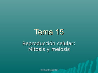 Tema 15
Reproducción celular:
Mitosis y meiosis

CIC JULIO SÁNCHEZ

 