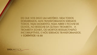 NOVO ESTUDO DO APOCALIPSE: TEMA 15 | A volta de JESUS