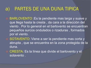 a)PARTES DE UNA DUNA TIPICA 
BARLOVENTO :Es la pendiente mas larga y suave y que llega hasta la cresta , da cara a la dirección del viento . Por lo general en el barlovento se encuentran pequeños surcos ondulados o rizaduras , formados por el viento. 
SOTAVENTO: Viene a ser la pendiente mas corta y abrupta , que se encuentra en la zona protegida de la duna. 
CRESTA: Es la línea que divide el barlovento y el sotavento .  
